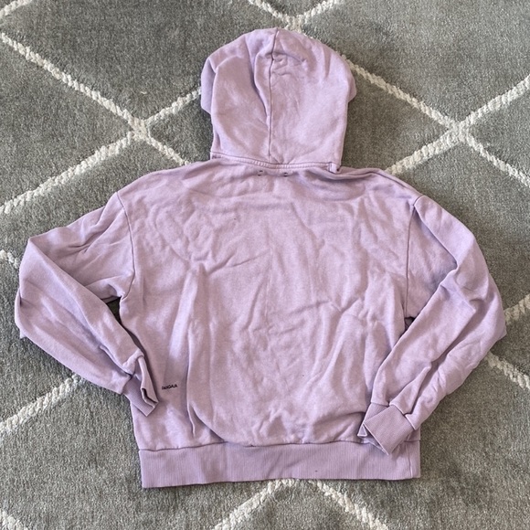 Pangaia Hoodie - Picture 6 of 8